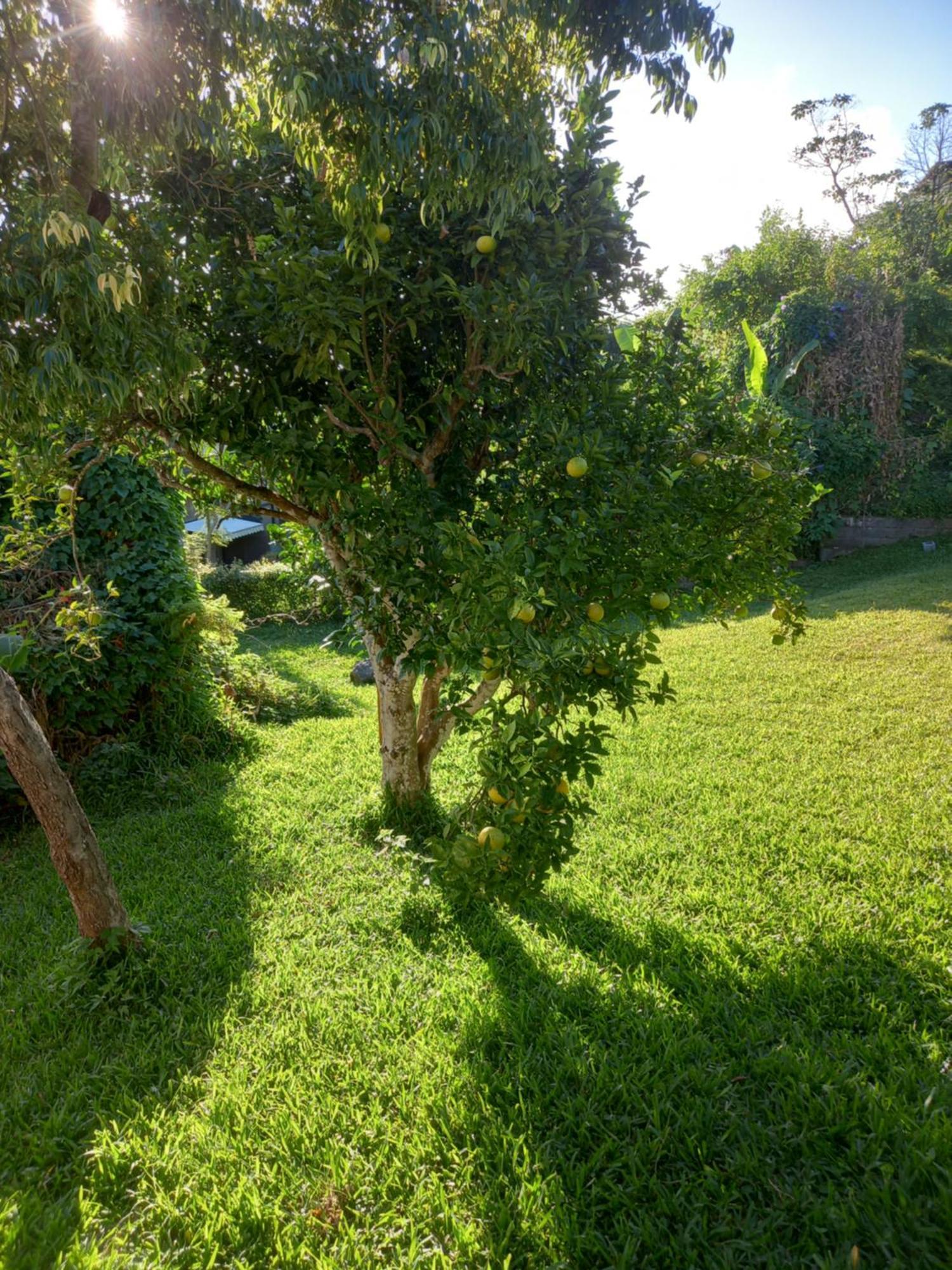 Leutibonheur Villa Saint-Leu Luaran gambar